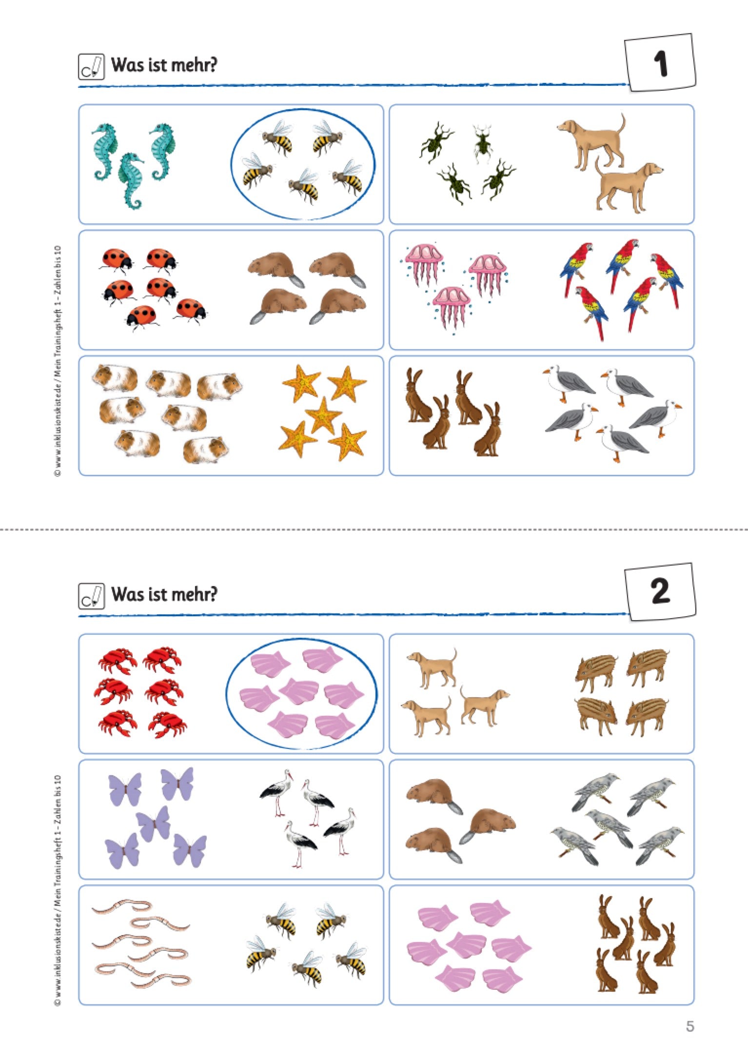Arbeitsblatt mit Tierbildern zur Mengenbestimmung: Kinder sollen jeweils das größere Tierbildfeld erkennen und markieren. Beispieltiere: Seepferdchen, Bienen, Hunde, Marienkäfer, Quallen, Papageien, Meerschweinchen, Hasen, Möwen. Titel: ‚Was ist mehr?‘ – geeignet für den Anfangsunterricht zur visuell unterstützten Mengenerfassung.